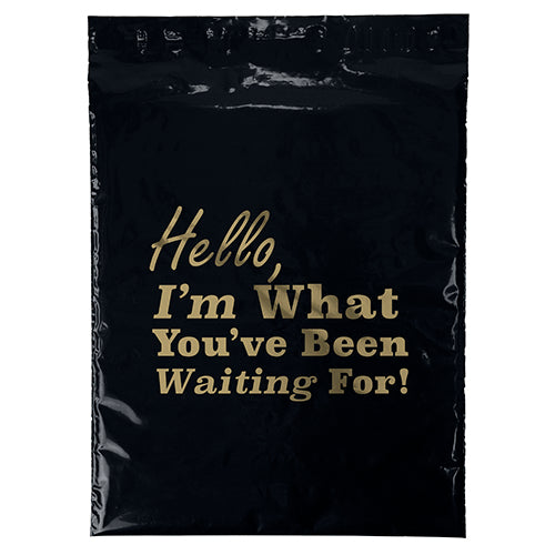 Poly Mailing Bag - 9.5W x 12H +2" lip