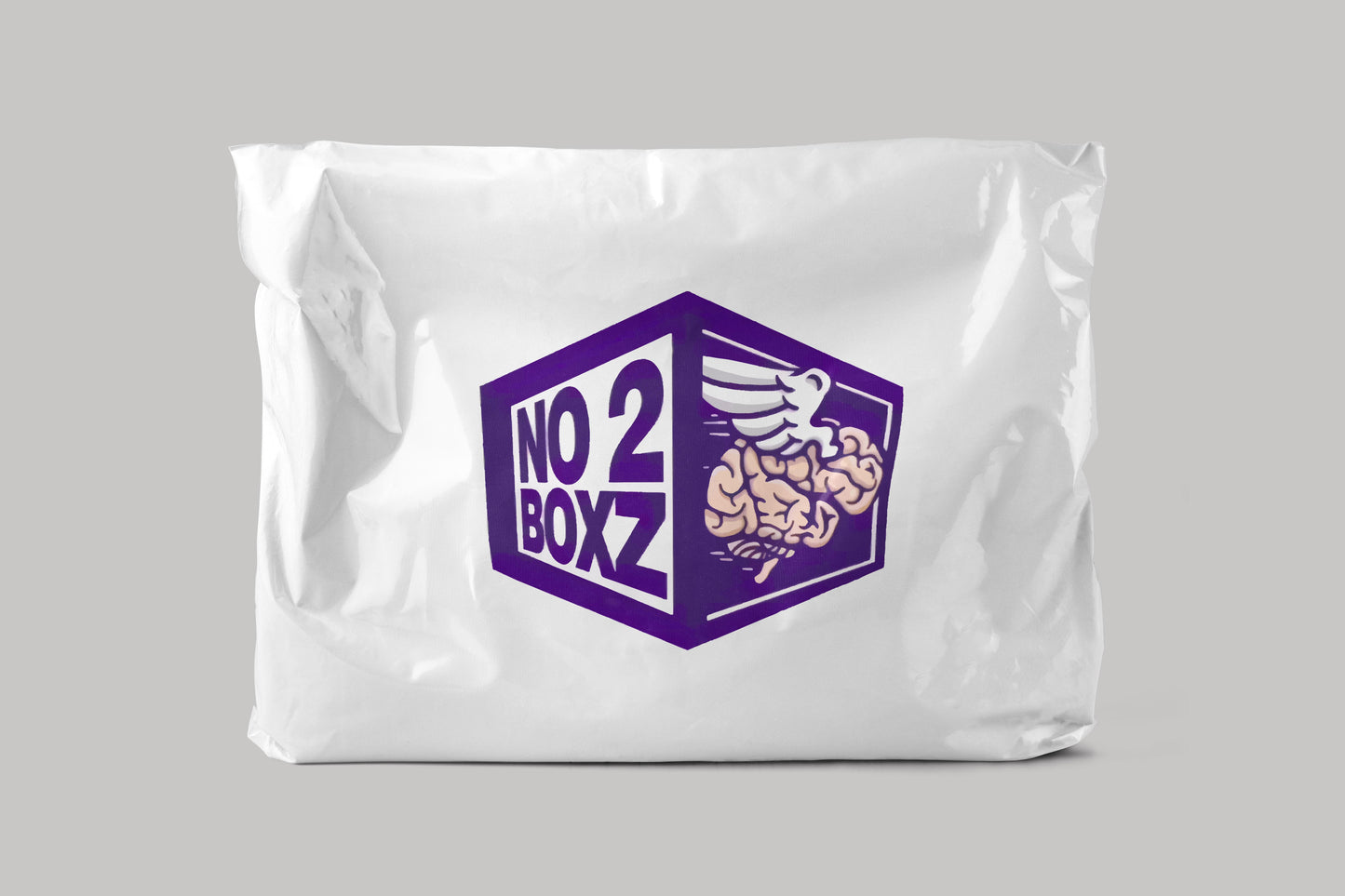 Poly Mailing Bag - 12W x 15.5H + 2" lip